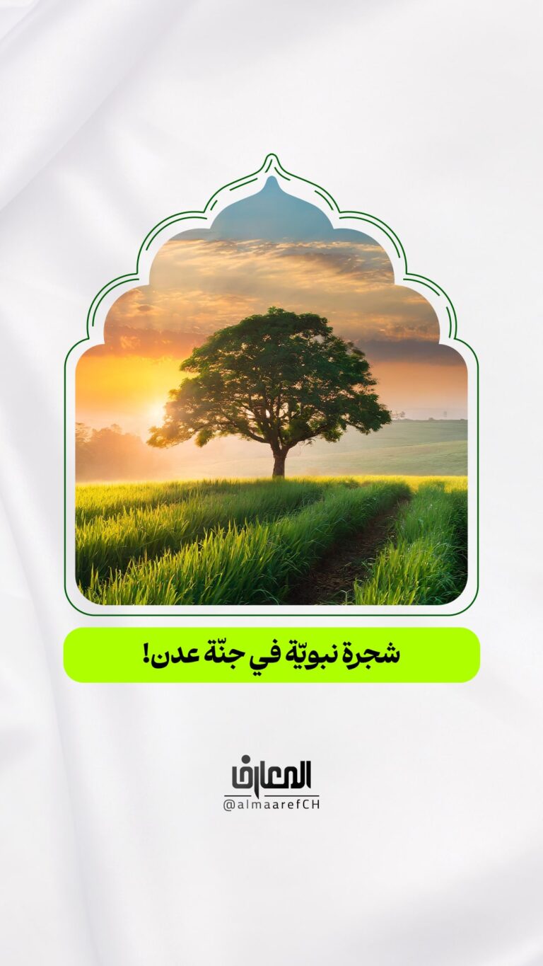 شجرة نبويّة في جنّة عدن!