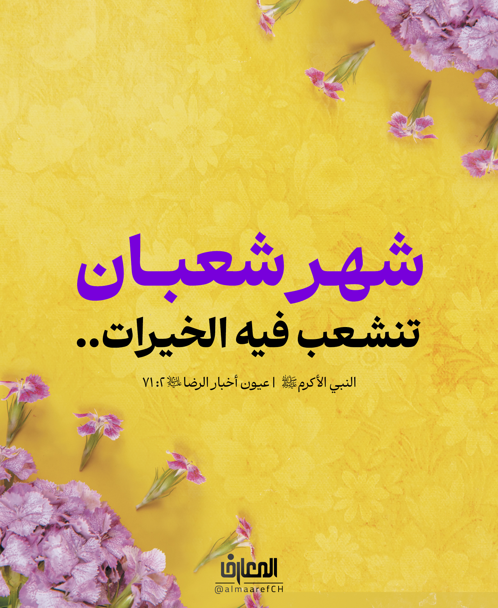 شهر الخيرات!