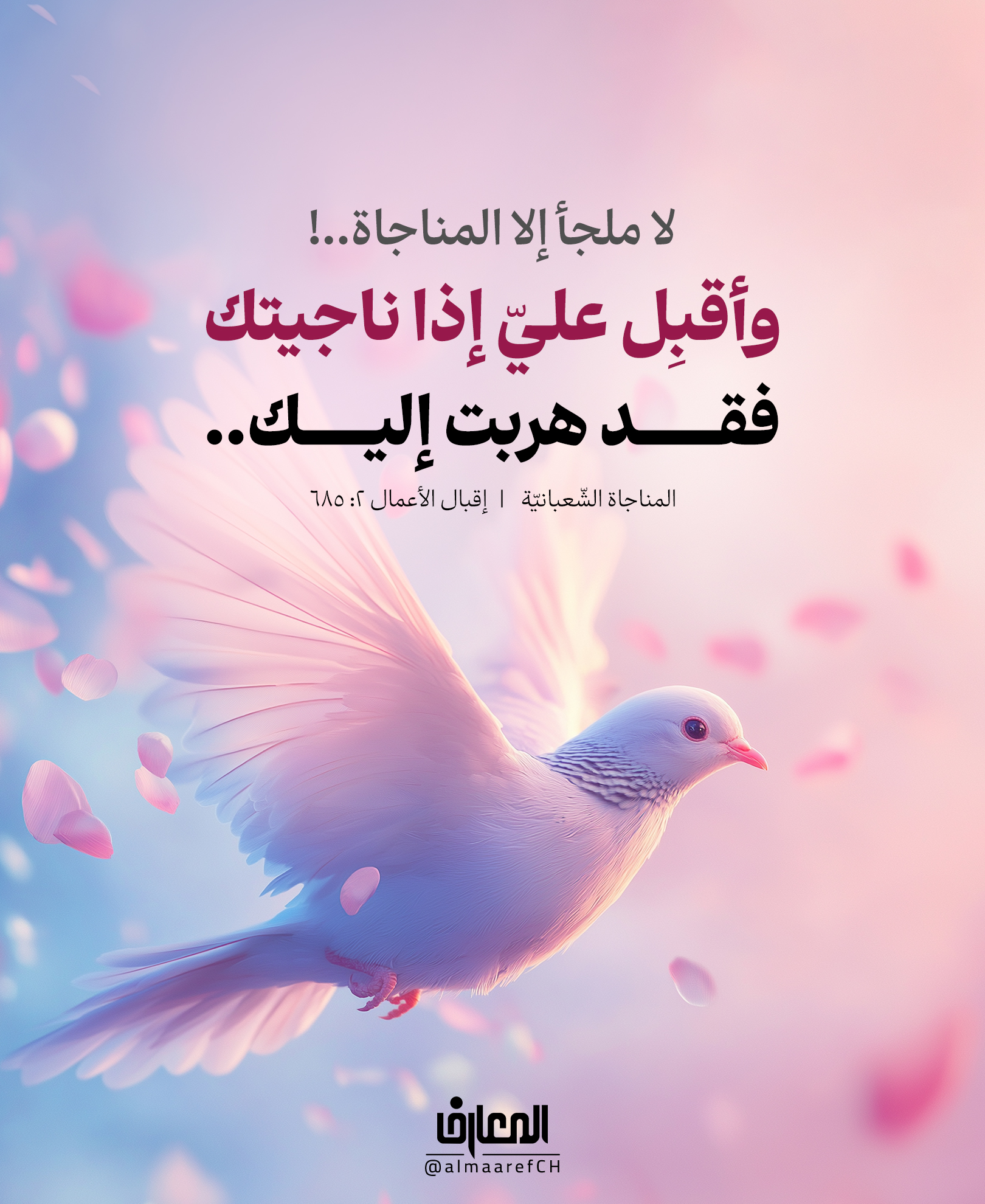 لا ملجأ إلا المناجاة..!
وأقبِل عليّ إذا ناجيتك، فقد هربتُ إليك..
المناجاة الشّعبانيّة
إقبال الأعمال 2: 685
هل جرّبت يومًا أن تهرب من كلّ شيء، إليه تعالى؟
ولسان الحال: يا رب! لا أعرف بابًا أطرقه سواك، ولا قلبًا أسكن إليه غير رحمتك..