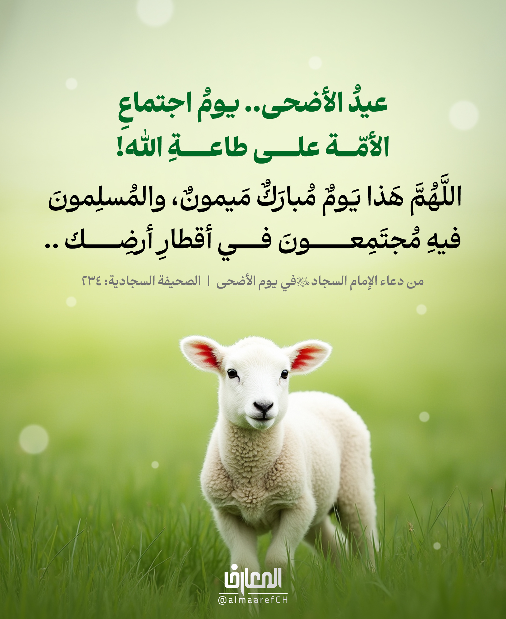 عيد الأضحى.. يوم اجتماع الأمّة على طاعة الله!
اللَّهُمَّ هَذا يَومٌ مُبارَكٌ مَيمونٌ، والمُسلِمونَ فيهِ مُجتَمِعونَ في أقطارِ أرضِك ..
من دعاء الإمام السجاد (ع) في يوم الأضحى
الصحيفة السجادية: 234
يومٌ تجتمعُ فيه قلوبُ المسلمين في مشارق الأرض ومغاربها،
بين حاجٍّ يلبّي، ومؤمنٍ يرفعُ دعاءه، وآخرَ يُحيي شعائرَ الله بقلبٍ خاشع.