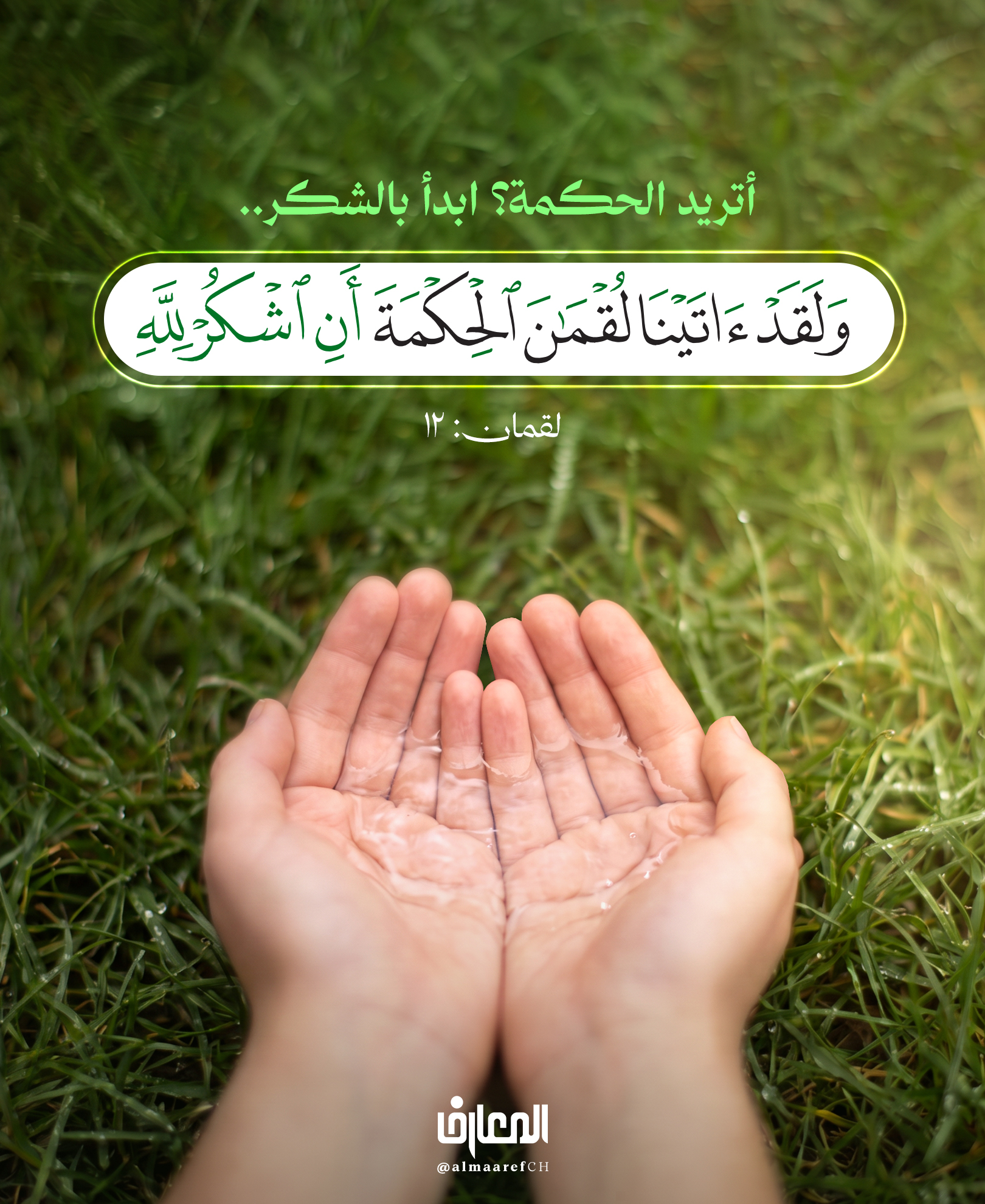 أتريد الحكمة؟ ابدأ بالشكر..
ولَقَد آتَينا لُقمانَ الحِكمَةَ أنِ اشكُر لله..
لقمان: 12
من أهمّ شروط الحكمة أن ترى نعم الله وتعرف صاحبها..
ولذلك حين ذكر القرآن الحكمة التي آتاها الله لقمان، بدأ بأول وصية:
﴿أَنِ اشْكُرْ لِلَّهِ﴾
فربما كان أول طريق الحكمة أن تتعلّم كيف ترى النعمة قبل أن تطلب المزيد..